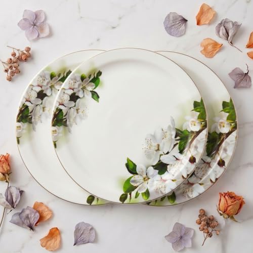 Image of Melamine Dinner Plates | Round Full Plate | Microwave Safe | Break Resistant | Plates for Breakfast, Lunch, Dinner | Plates for home, Office, Restaurant | Set of 6 | 11 Inch's (green flower)