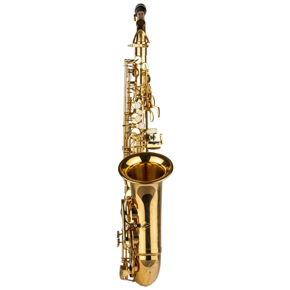 Proel GR SAL700 - Sassofono GRASSI Contralto School Laccato in Chiave Mib + Custodia trasporto