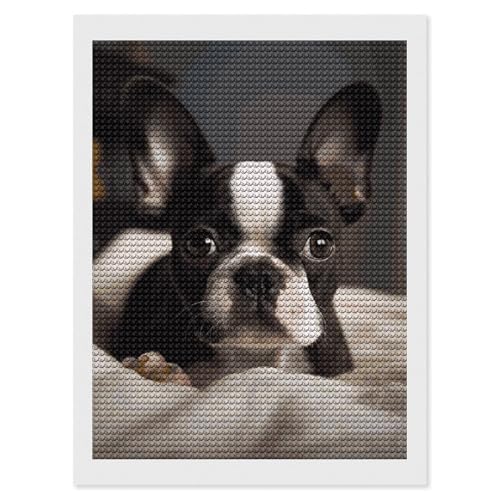 Peinture diamant mignon Boston Terrier pour activité manuelle maison