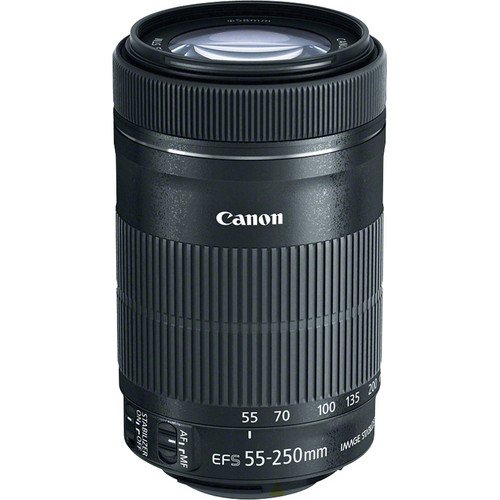 Canon EF-S 55-250mm F4-5.6 は STMレンズ Canon SLRカメラ用