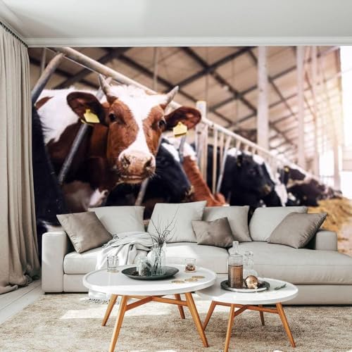 Décorations murales 3D photo vache peler et coller durable - 3