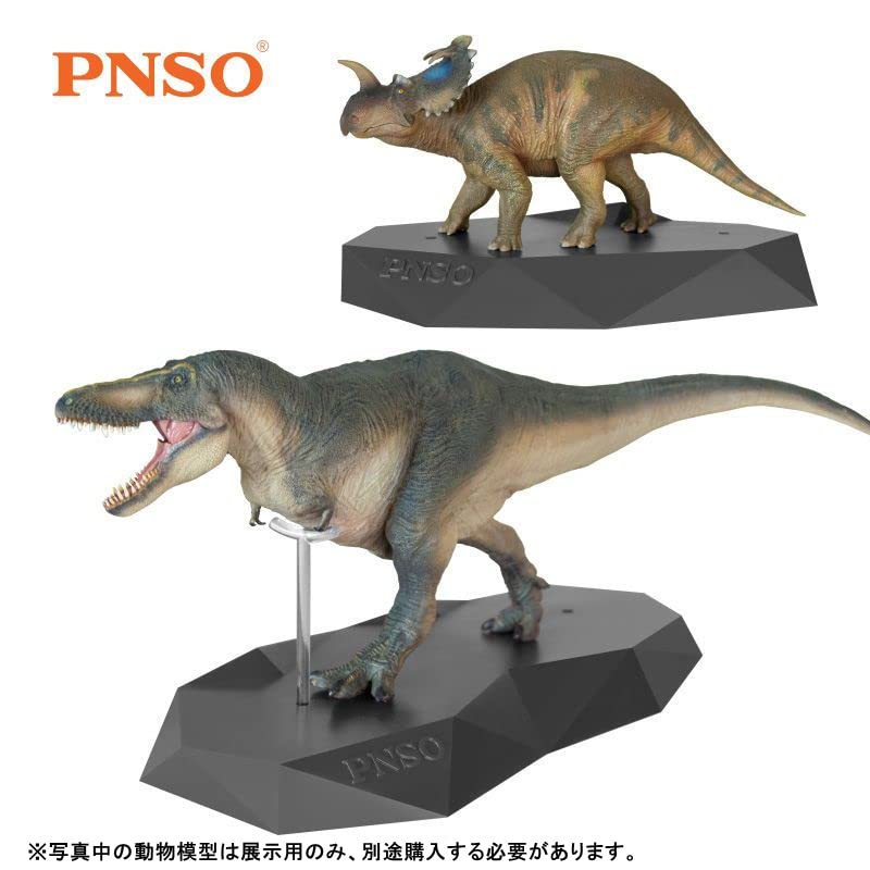 Amazon | PNSO 恐竜 動物 フィギュア 模型 展示用 通常台座