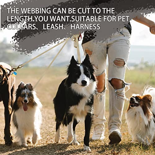 Image of Polyester Webbing Strap 16+Colors - 1 inch&1.5 inch&1.9 inch - 16.5 25 33 55 Yards Heavy Duty Webbing Roll, Flat Webbing Strap for Indoor&Outdoor Gear, Climbing, DIY Crafting, Repairing