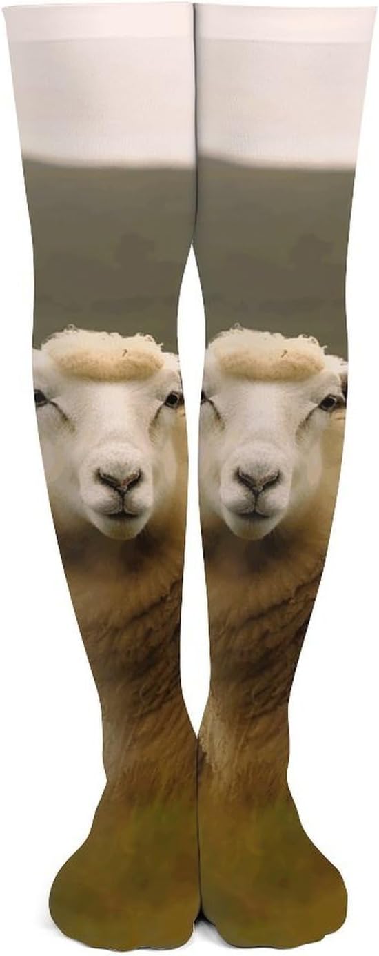 Two White Sheep Knee High Stockings for Women 23.6" Breathable Thigh High Stockings Over The Knee Socks