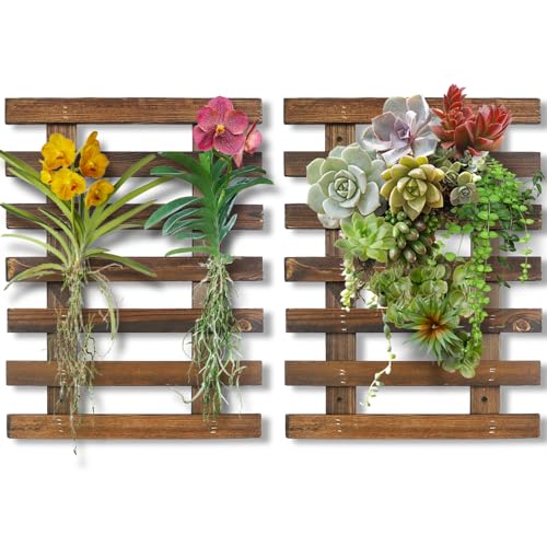 Mulctun 2 Pcs Wall Planters - 11.4'W X 15.7'H Wooden Wall Planters for Indoor Outdoor Plants,Hanging Wood Wall Trellis,Wall Mounted Plant Holder for Orchids,Succulent,Air Plants,Hanging Pots Display