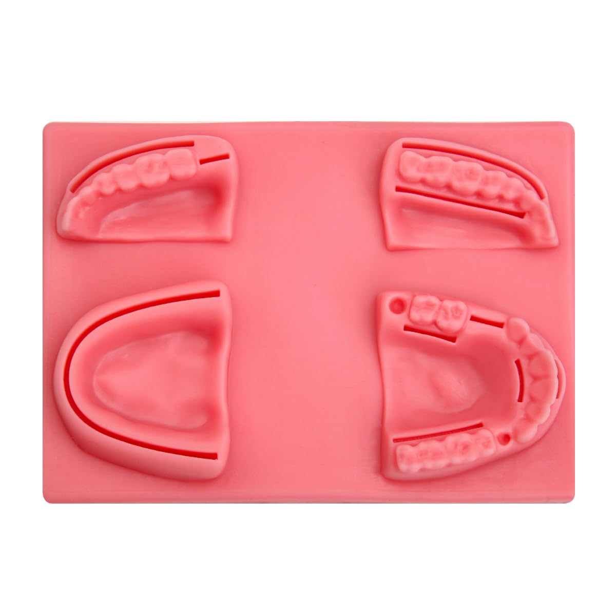 Dental Suture Practice Kit with 4 Oral Suture Pads (Red)