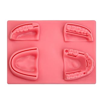 Dental Suture Practice Kit with 4 Oral Suture Pads,Realistic Gum Simulation for Dental Students Medical Suture TrainingIntegrated Stitching