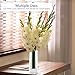 Royal Imports Flower Glass Vase Decorative Centerpiece For Home or Wedding by...