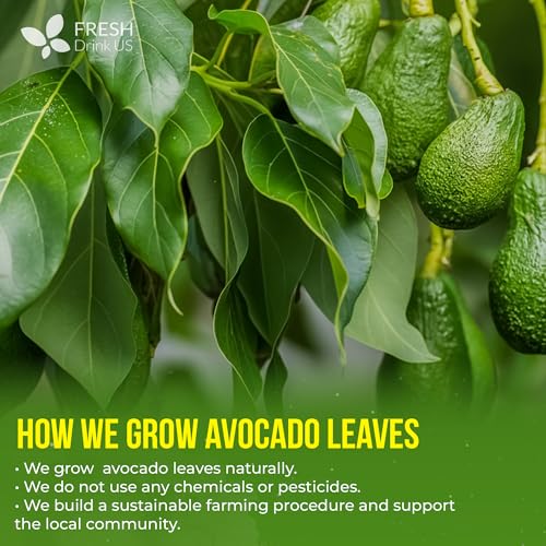 Image of FreshDrinkUS, 120 Avocado Leaves - Loose Leaf - Premium Avocado Leaf Herbal Tea, Caffeine Free Botanical Tea Leaves for Hot or Iced Tea - Natural, Aromatic & Fresh Avocado Leaves