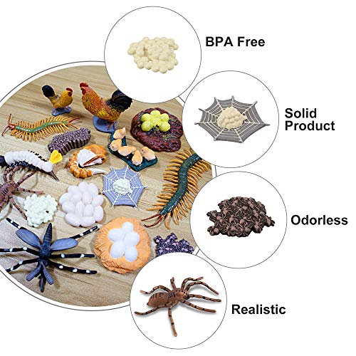 Toymany 16Pcs Life Cycle Of Chicken Hen Centipede Spider Mosquito Farm Animals Figure, Plastic Food Chain Animal Figurines Toy Kit Educational School Project For Kids Toddlers #TOP5