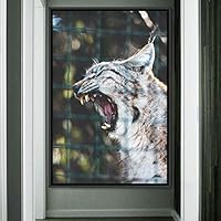 Framed Canvas Wall Art Cat Animals Cat Chic Multicolor Photography Urban - 16x24 inches