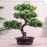 bonsai grande precio Material: Plástico, Cantidad de piezas: 1 pieza