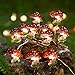 Onemore Mushroom String Lights Battery Operated 10FT 30LEDs Christmas Decorations Fairy Lights for Bedroom Indoor and Outdoor Wedding Garden Birthday Party Patio Fence Mushroom Gifts Decor