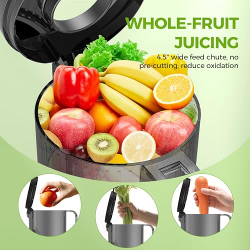 Cold Press Juicer Machines, Juicer Machines for Whole Fruits and Vegetables, Masticating Juicers, High Juice Yield, BPA Free