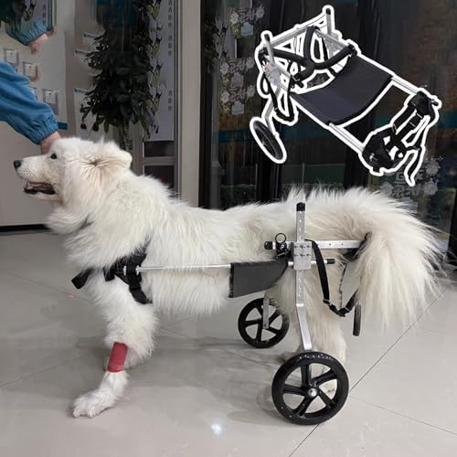 Medium Large Dog Wheelchair for Back Legs - 2 Wheels Pet Trolley for Arthritis, Aging, Injured Dogs - Supportive XXL Mobility Aid for Hind Limb Disabilities