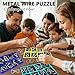 Gracelaza 8 pcs Metal Wire Puzzle Logic Brain Teaser Set - Metal Ring IQ Puzzles Difficult Games - Ideal Intelligence Toys Gifts for Kids and Adults