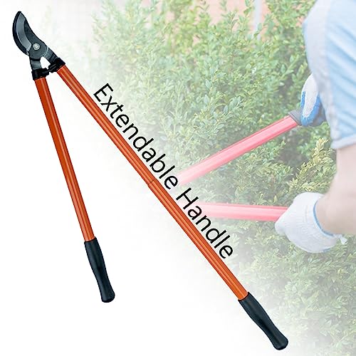 Image of MV190 Professional Orchard and Landscape Tree Lopper 37-CM Long Handle for Effortless Pruning 2-Inch Cutting Capacity for Thick Branches, Carbon Steel Blade (extendable lopper cutter)