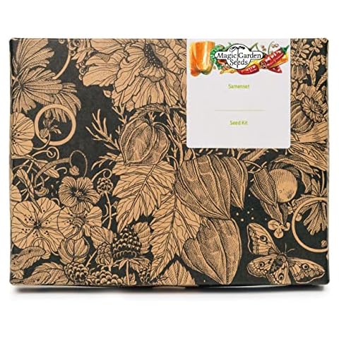 Chilli Con Carne Seed Kit Gift Box Cover