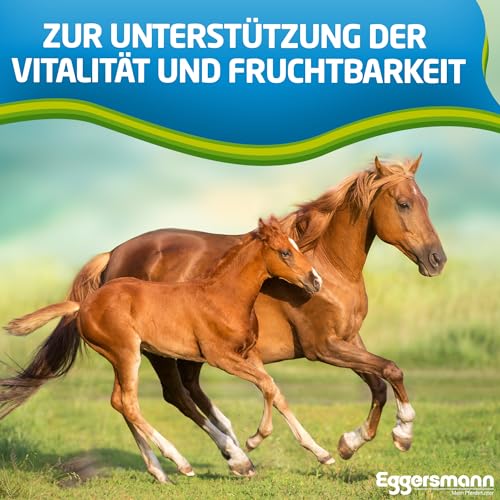 Eggersmann Mein Pferdefutter Rosse Kur 4 kg – Ergänzungsfuttermittel für Pferde – Mit Betacarotin zur Unterstützung der Fruchtbarkeit von Hengsten & Stuten – Nährstoffreiches Pferdefutter