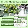 Fig Tree Fertilizer – Liquid Plant Food for Bigger Harvests, Stronger Root Development & Healthy Leaf Growth, 8 oz