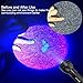 ESCO LITE Escolite UV Flashlight Black Light, 2 Pack 51 LED 395 nM Ultraviolet Blacklight Detector for Dog Urine, Pet Stains and Bed Bug