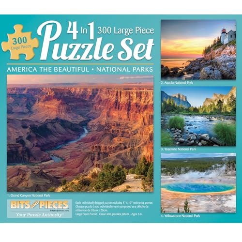 Bits and Pieces - Pack de 4 rompecabezas de 300 piezas para adultos: Parques Nacionales de EE.UU. 'America The Beautiful', tamaño armado 41 cm x 51 cm (16" x 20")