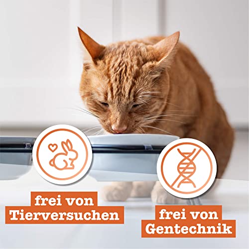 catz finefood N° 25 Huhn & Thunfisch Feinkost Katzenfutter nass, verfeinert mit Kürbis & Hagebutte, 6 x 400g Dosen