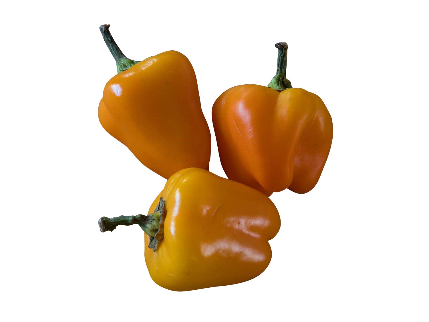 Generisch 1000 semillas de mini campanas para aperitivos, color rojo, afrutado y dulce, para balcón y terraza, altura de crecimiento 60 cm, tamaño de fruta 4-5 cm, sol parcial, gran cantidad