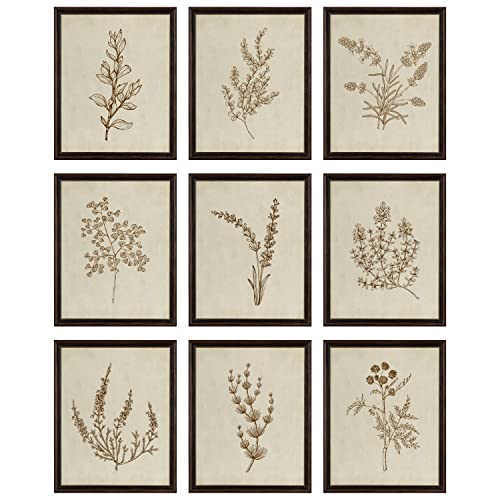 97 Decor Botanical Wall Art - Vintage Botanical Prints cover