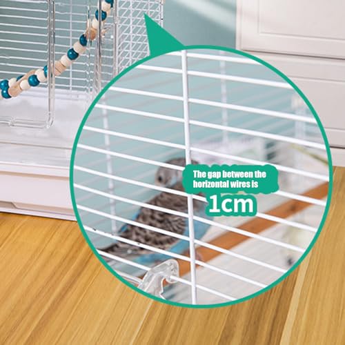 Cage à oiseaux pour calopsitte et conure avec mangeoire et perchoir