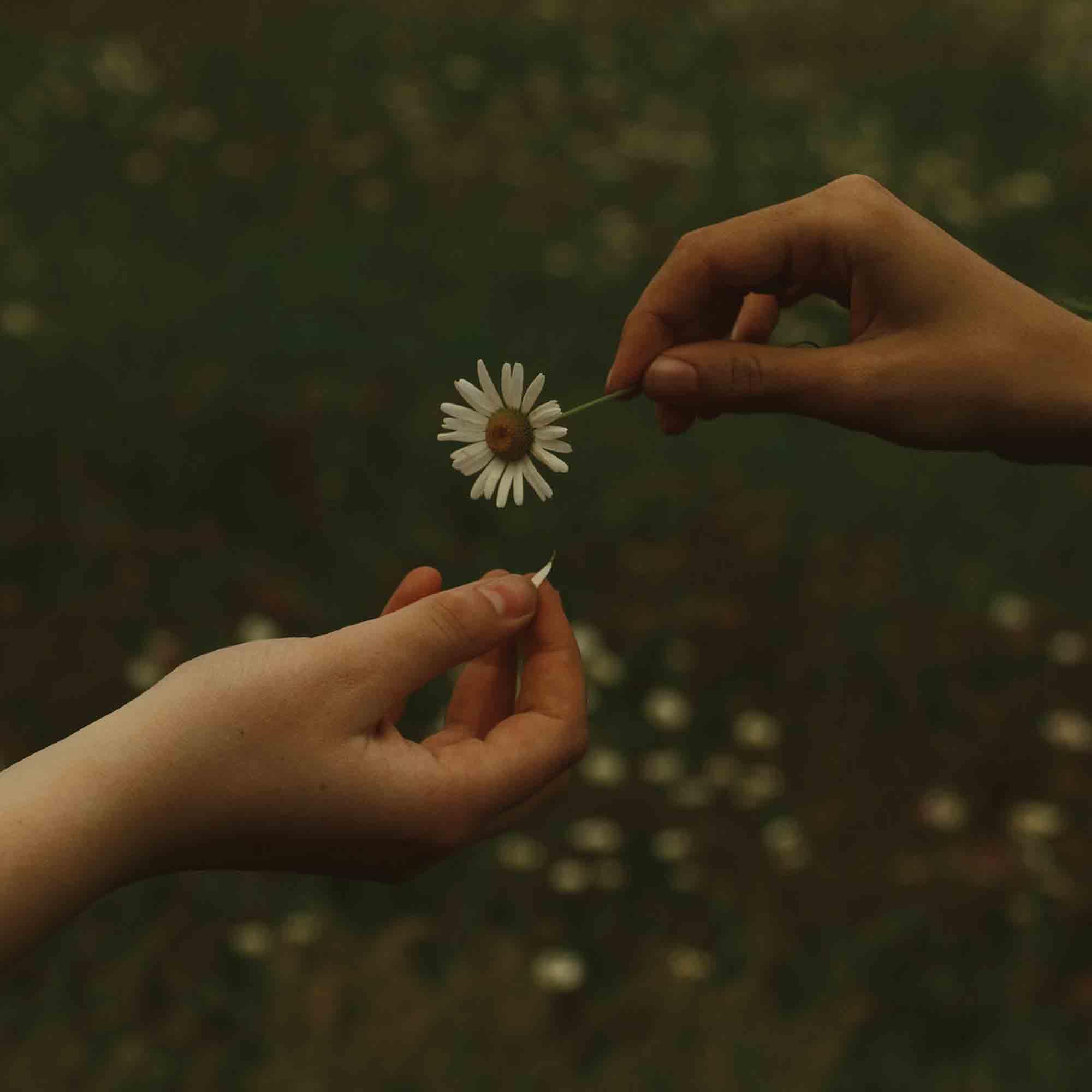 Goldmund - The Time It Takes Vinyl