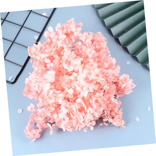 Petalos Secos de Hortensia Rosa para Manualidades miniatura 6
