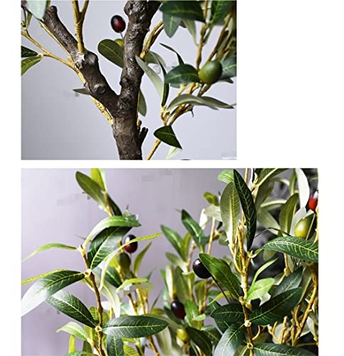Reviews y listado de Bonsai olivo favoritos de las personas. 10 Imagen adicional