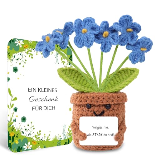 BOAITE Geschenke für Frauen Geburtstagsgeschenk für Frauen Geschenk kreative gestrickte Vergissmeinnicht-Blumen Gute Besserung Geschenke Mama Schwester Kollegin Geburtstagsgeschenk