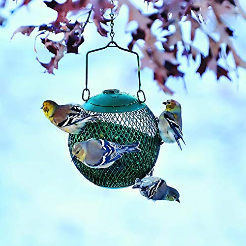 Perky-Pet GSB00344 Green Seed Ball Wild Bird Feeder thumb #3