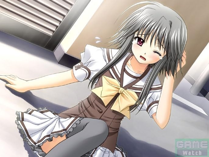 Amazon.co.jp: SHUFFLE! ON THE STAGE(DXパック) : Video Games