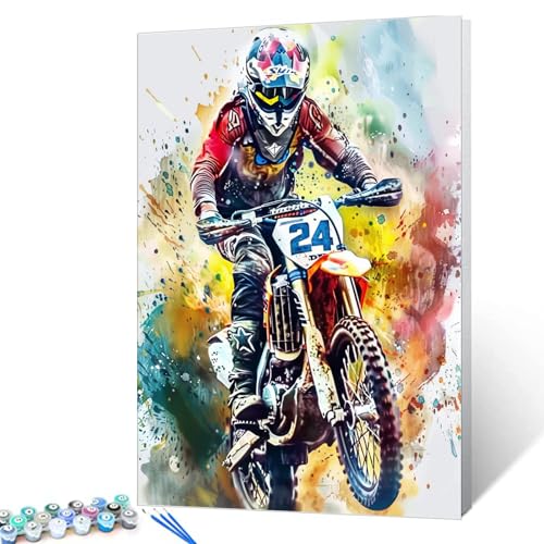 Motorcycle Racing Paint by Numbers Kit 16"x20