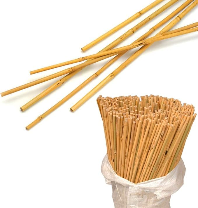 Bamboo Canes 5ft - Heavy Duty Garden Canes for Plants Flower Support Pole Sturdy Sticks Stakes Outdoor Indoor, Range of pack 10, 20,30,40,50,100 (5)