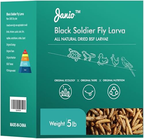 Bolsa de comida para gusanos de harina, larvas de mosca soldado negro para aves silvestres, 5 libras