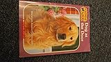 Dog at the Door (Animal Ark #25)