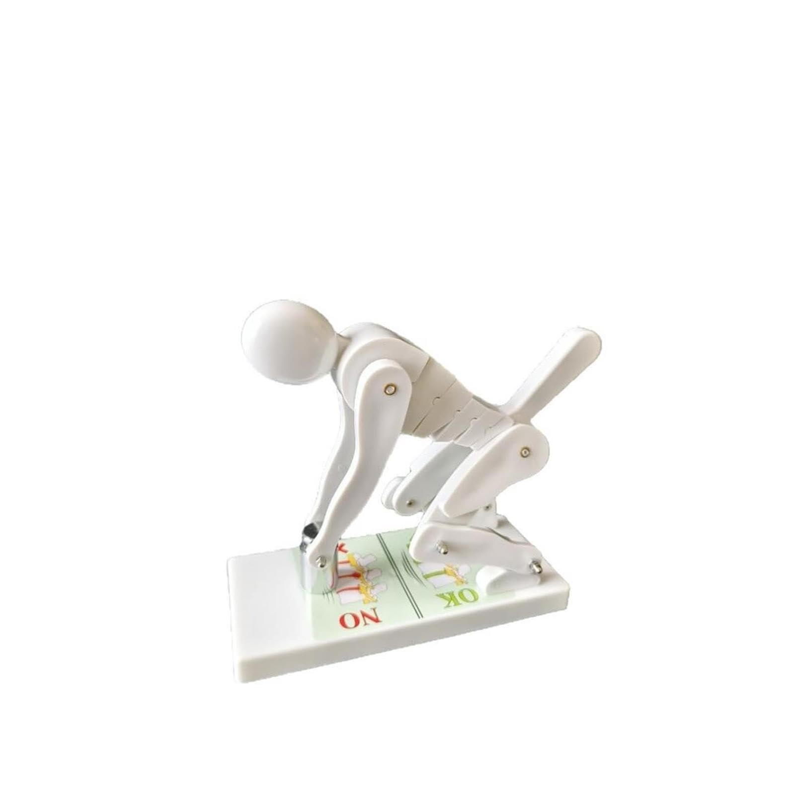 Model Kręgosłupa Podnoszenie Ciężarów