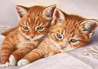 MXJSUA DIY 5D Cat Diamond Painting Kits for Adults Round Full Drill Animals Diamond Art Kits for Kids Kitten Gem Art Rhinestone Arts Craft Canvas Diamond Art for Home Wall Art Decor 30X40cm