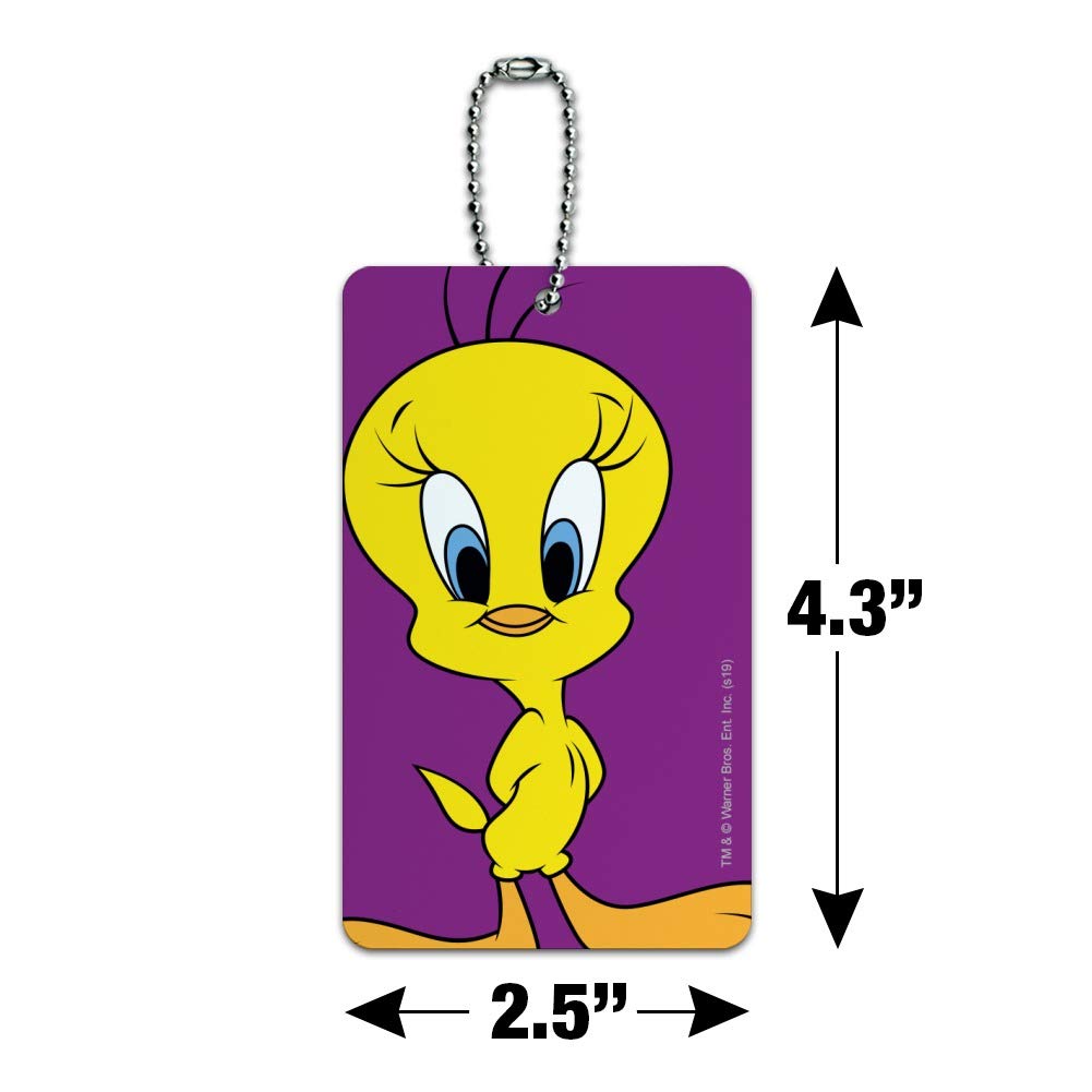 Amazon.com: Looney Tunes Tweety Bird Luggage Card Suitcase Carry
