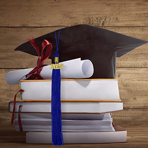 Hidreas 2023 Graduation Tassel Blue With 2023 Year Gold Charm For Graduation Ceremony #TOP4
