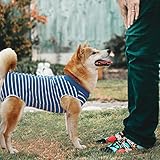 Dog Recovery Suit,Surgical Recovery Suit for Dogs Cats After Surgery,Dog Recovery Shirt for Female Male Dogs,Cone E-Collar Alternative Pet Vest,Post Operative Abdominal Wound Protector,Prevent Licking - Image 5