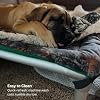 Kuranda Orthopedic Canvas Dog Bed Pad Durable Cordura Fabric with Quilted Padding - Small - 30 x 20 - Backwoods