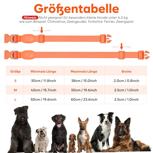 PZRLit LED Hundehalsband – Leuchthalsband Hund Verstellbar, Reflektierendes & Wasserdichtes Hundehalsband, USB Aufladbares Sicherheitshalsband für Kleine Mittel Große Hunde, Halsbänder