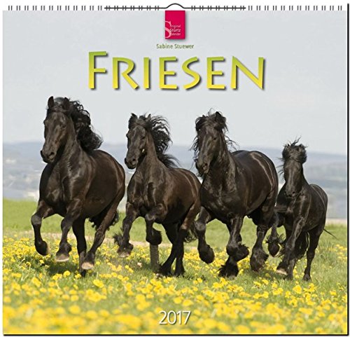 FRIESEN - Original Stürtz-Kalender 2017 - Mittelformat-Kalender 33 x 31 cm FRIESEN - Original Stürtz-Kalender 2017 - Mittelformat-Kalender 33 x 31 cm