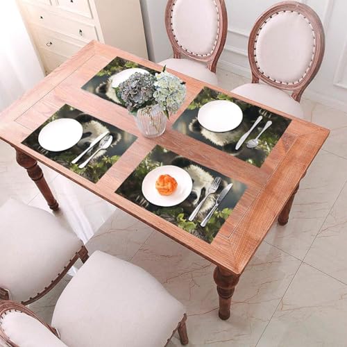 Sets de table tissés Panda de cuisine lavables en PVC antidérapant - 4