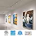 LEONLITE 4-Pack 8.5W LED Track Lighting Heads, CRI90 H Track Lighting, Dimmable Track Light Heads, ETL Listed, 36° H Track Lighting Heads, 4000K Cool White, Matte White